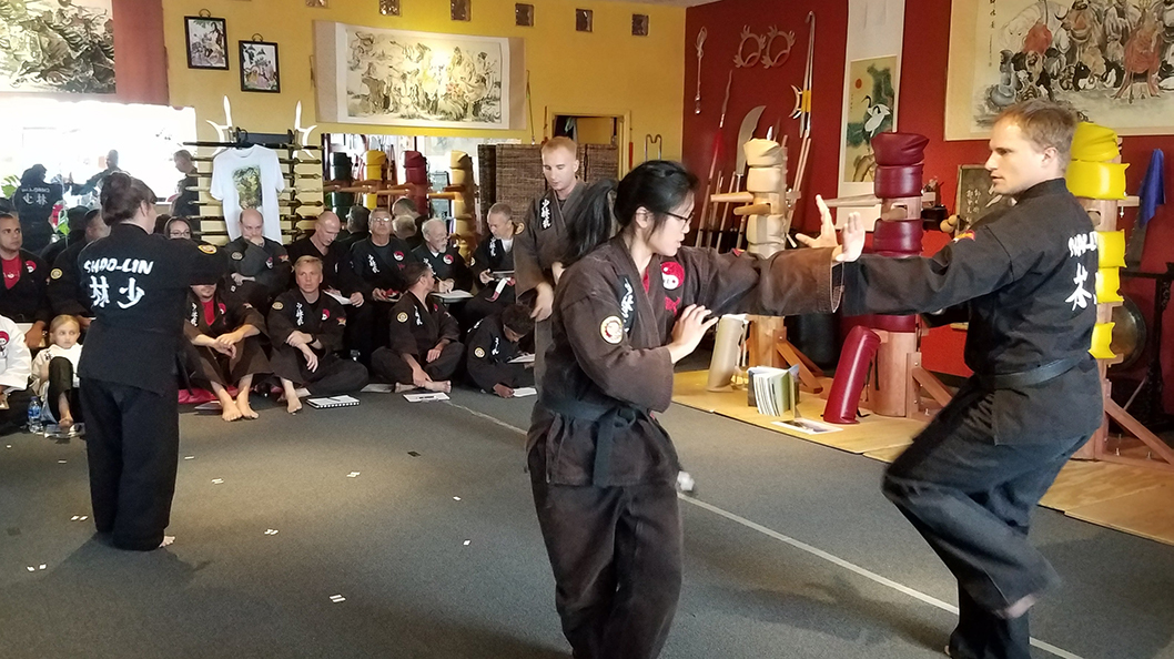 advanced black belts step through pakua form